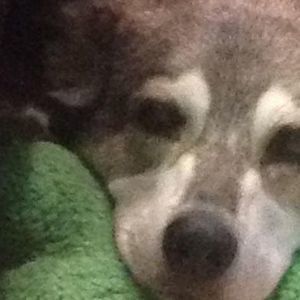 Meet your Posher, Candace